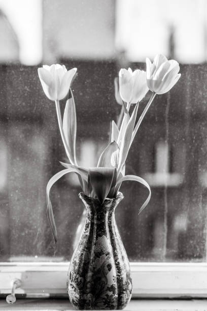 istock Flowers in vase, old window, black and white 1128433893