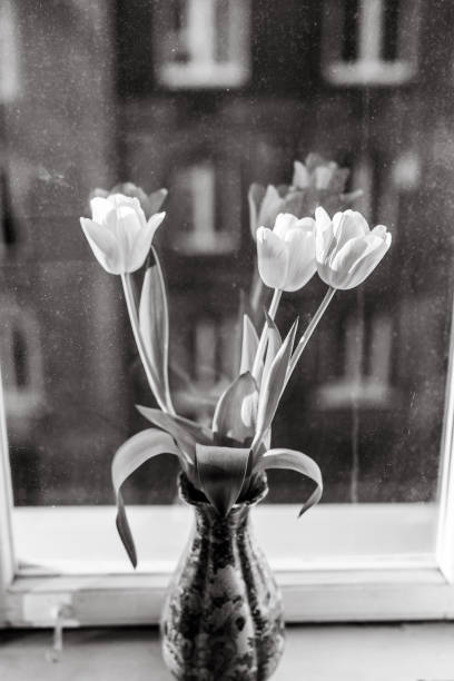 istock Flowers in vase, old window, black and white 1128433911