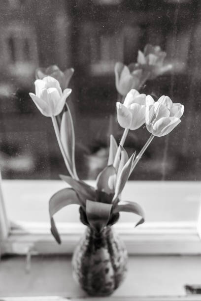 istock Flowers in vase, old window, black and white 1128433939