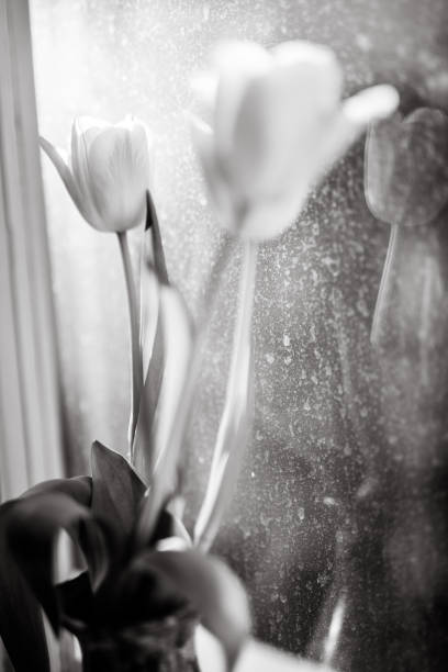 istock Flowers in vase, old window, black and white 1128434614