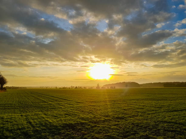 istock Sunset on the cloudy sky over a green field, mountains in the back 1128436059