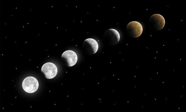 Realistic full and partial lunar eclipse phases vector illustration. Realistic full and partial lunar eclipse phases vector illustration. Umbra and penumbra moon eclipse. Vivid and rare astronomical phenomenon depiction for different designs. lunar eclipse stock illustrations