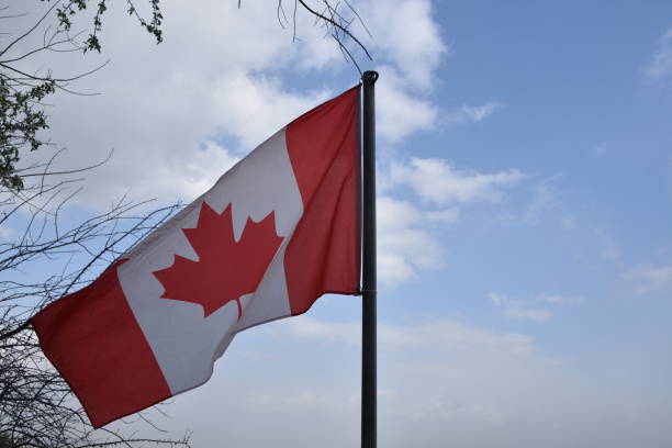 カナダ国旗 - canadian culture flash ストックフォトと画像