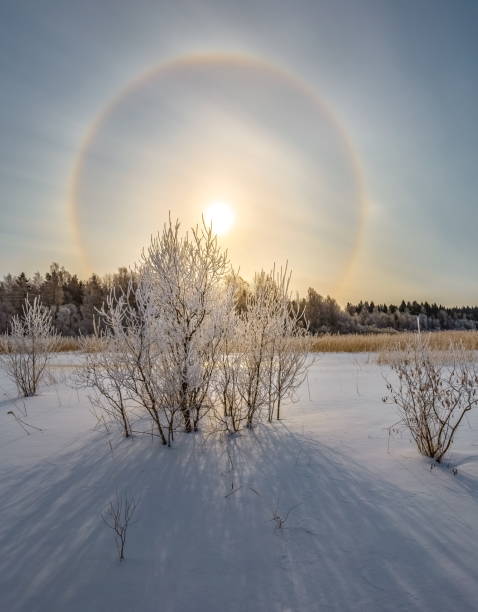 istock Solar halo. It's a frosty day. 1128442363