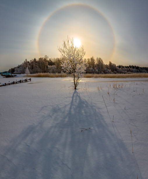 istock Solar halo. It's a frosty day. 1128443037