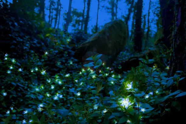 Fabulous blue flower with small lights in the middle of a wild forest in the moonlight at night