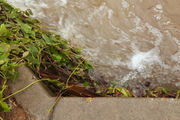 istock Townsville flood 1128447991