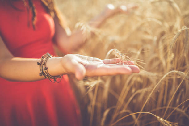 A young woman holds wheat in her hand.
