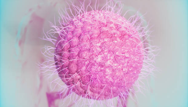istock Varicella zoster - Herpes Zoster - Herpes Virus - 3D Rendering 1128449283