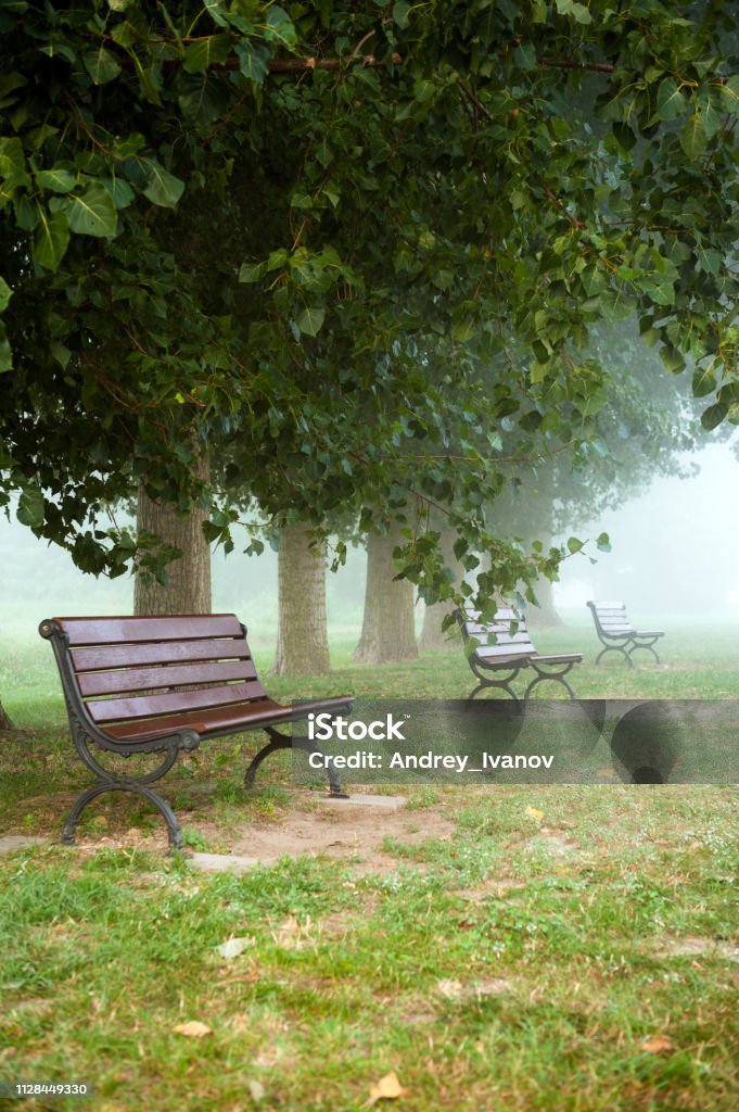 Early foggy morning. Shops for rest. Italy. Landscape. Early foggy morning. Italy. Bench Stock Photo