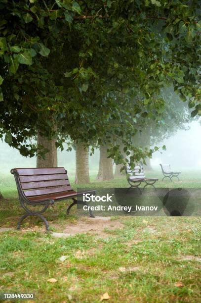 Early Foggy Morning Shops For Rest Italy Stock Photo - Download Image Now - Bench, Europe, Fog