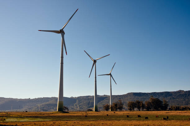 istock Wind farm turbines - eco clean power 1128455122