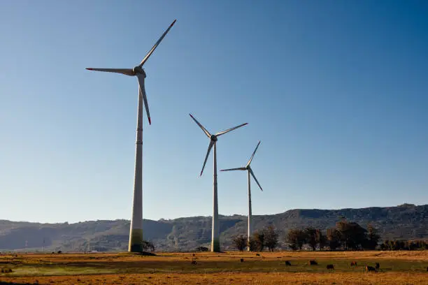 Photo of Wind farm turbines - eco clean power