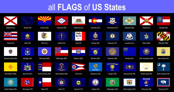 ilustrações de stock, clip art, desenhos animados e ícones de all 50 us state flags - alphabetically - icon set - vector illustration - colorado flag