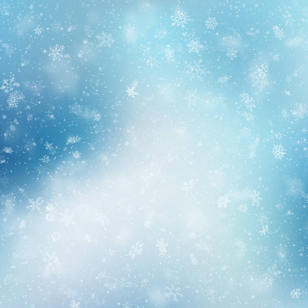 松の枝と白で隔離影クリスマス フレーム。eps 10 - backgrounds christmas snow white点のイラスト素材／クリップアート素材／マンガ素材／アイコン素材