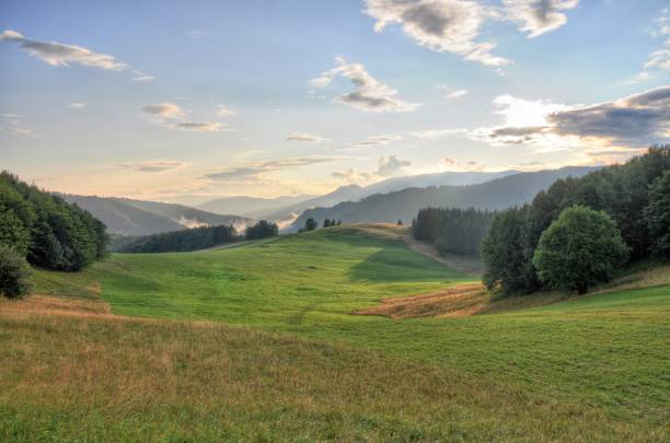 istock Mountains Tatra landscape with green forest, blue clouds and meadow 1128461303