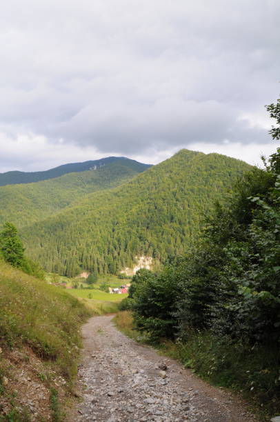 istock Mountains Tatra landscape with green forest, blue clouds and meadow 1128461473