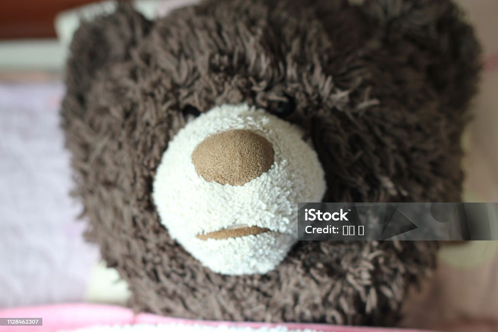 Bear man Cute Winnie the Doll. Animal Stock Photo
