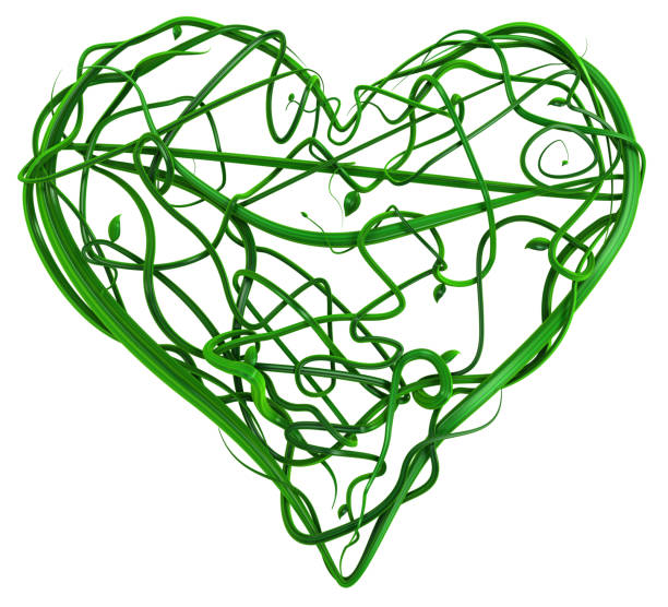 Plant vines green growing twisting forming heart shape Valentine, 3d illustration, horizontal, isolated, over white