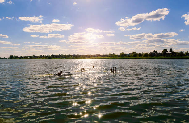 istock People bathe in the river on a hot summer day. 1128464200