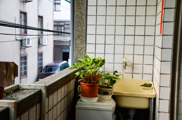 apartment,background,balcony,beautiful,cactus,decoration,english,flower,garden,gardening,green,home,little,natural,nature,outdoor,patio,plant,pots,potted,roof,small,terrace