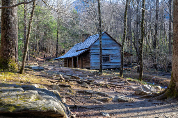 istock Old log cabin in the mountains 1128466883