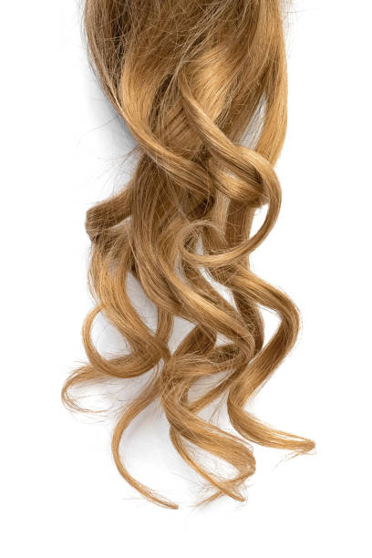istock Natural wavy brown hair on white background 1128470329
