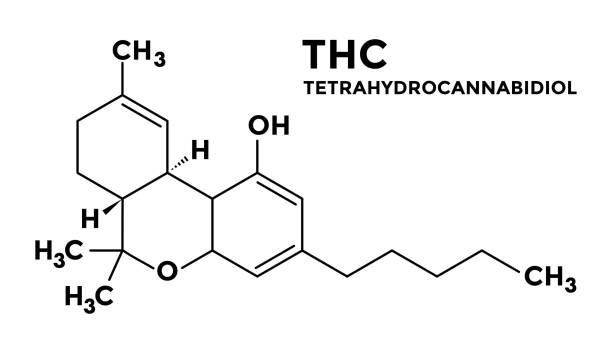illustrazioni stock, clip art, cartoni animati e icone di tendenza di tetraidrocannabinolo - thc - formula strutturale - chemistry molecular structure molecule formula