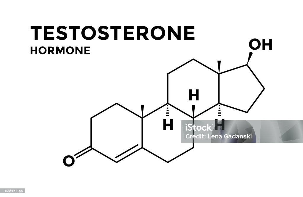 Testosterone Example Testosterone Male Hormone Structural Chemical Formula Stock ...