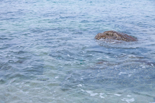 beautiful scene, tropical sea background