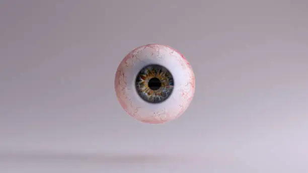 Photo of Human Eyeball