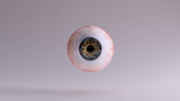 глазное яблоко человека - eyeball стоковые фото и изображения