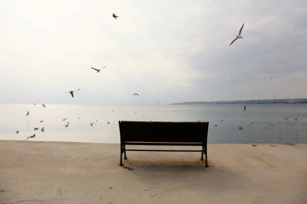 A bench near the sea