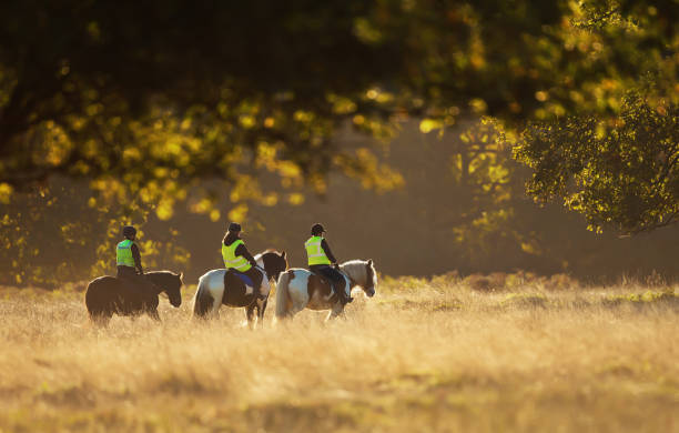 grupo de personas a caballo - riding autumn meadow land fotografías e imágenes de stock