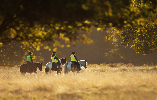 Group of people riding horses in a field on a beautiful autumn morning, UK.