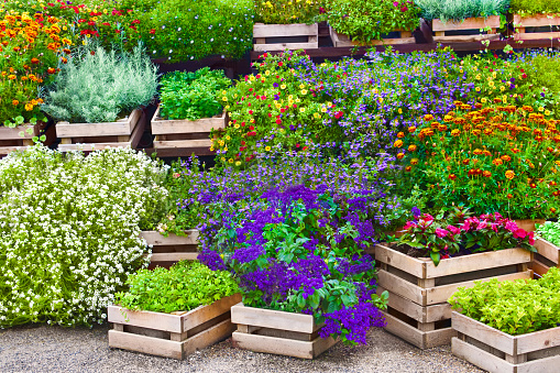 Flowers for sale in wooden boxes outdoor background