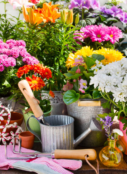 verscheidenheid aan bloemen en potten met decoratie in de tuin - tuin gereedschap stockfoto's en -beelden