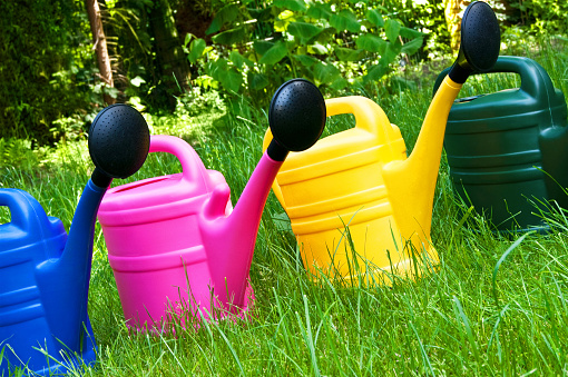 Various watering cans in the garden close up