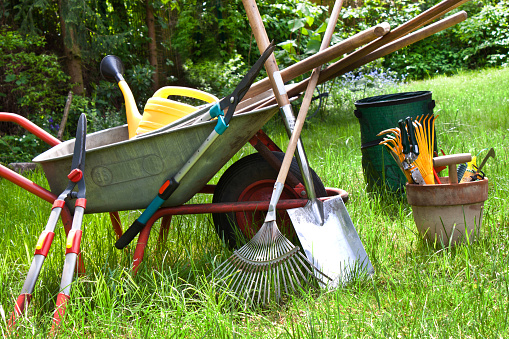 Varias herramientas de jardinería en el jardín photo