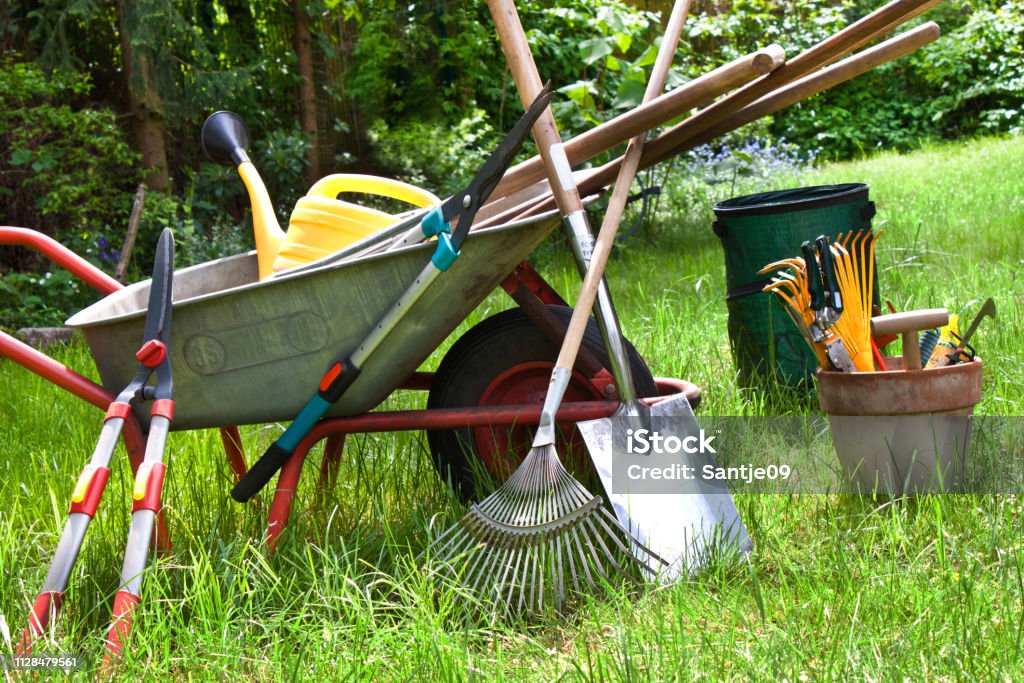 divers-outils-de-jardinage-dans-le-jardin.jpg