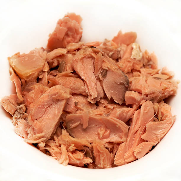 istock salmon fish slices on white background square ingredient 1128482257