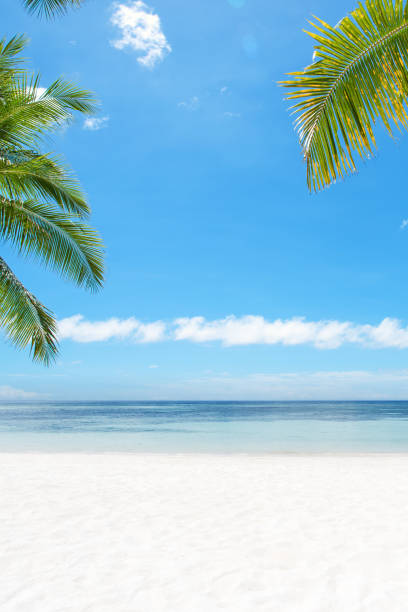 istock Tropical Beach And Palm Leaves Copy Space Scene 1128484914