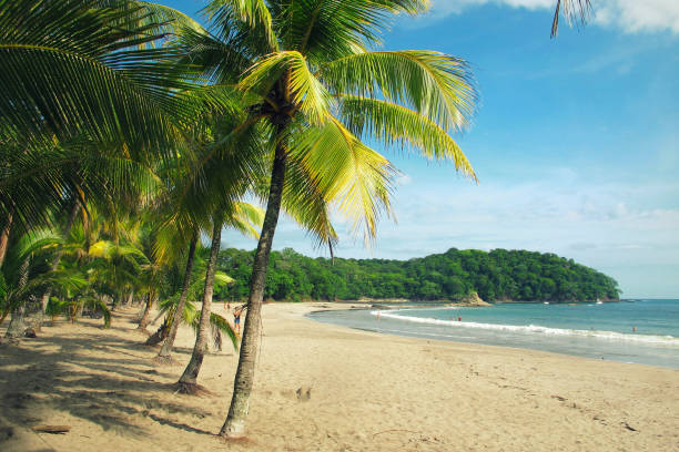 istock Costa Rican beach Playa carillo 1128489180