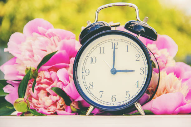 istock Spring flowers and Alarm Clock. Change the time. 1128490484