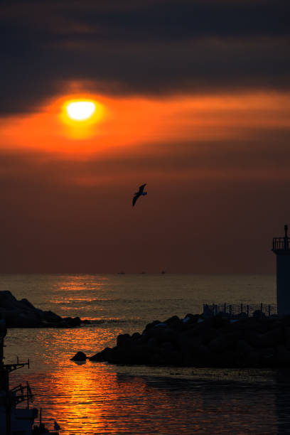 istock the glorious glow of the winter sea 1128491848