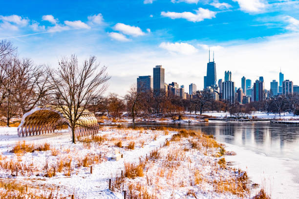 Lonely tree on the bank of an unfrozen river on a winter day