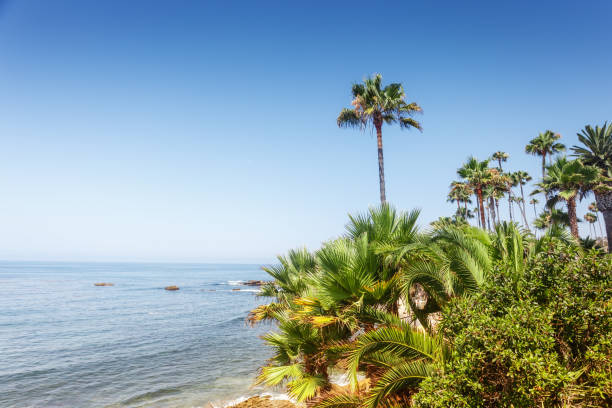 Sunny morning in Laguna Beach California view on pacific ocean with palms