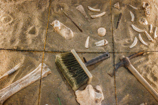 istock An antiquities excavation site. tools and exhibits found 1128498237