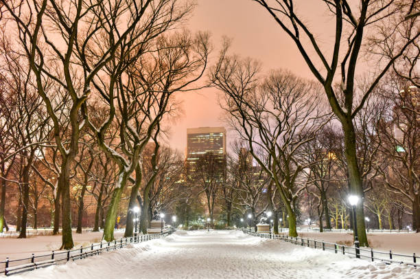 istock Central Park Night, New York City 1128502218