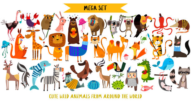 ilustraciones, imágenes clip art, dibujos animados e iconos de stock de mega set de animales de dibujos animados: animales salvajes, animales de marina. ilustración de vectores aislado sobre fondo blanco. - temas de animales